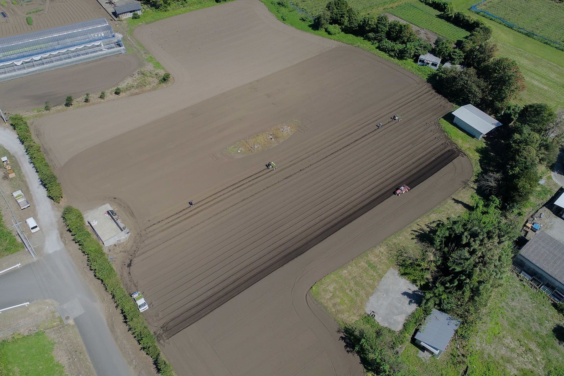 白菜発芽しました～(*^^*)