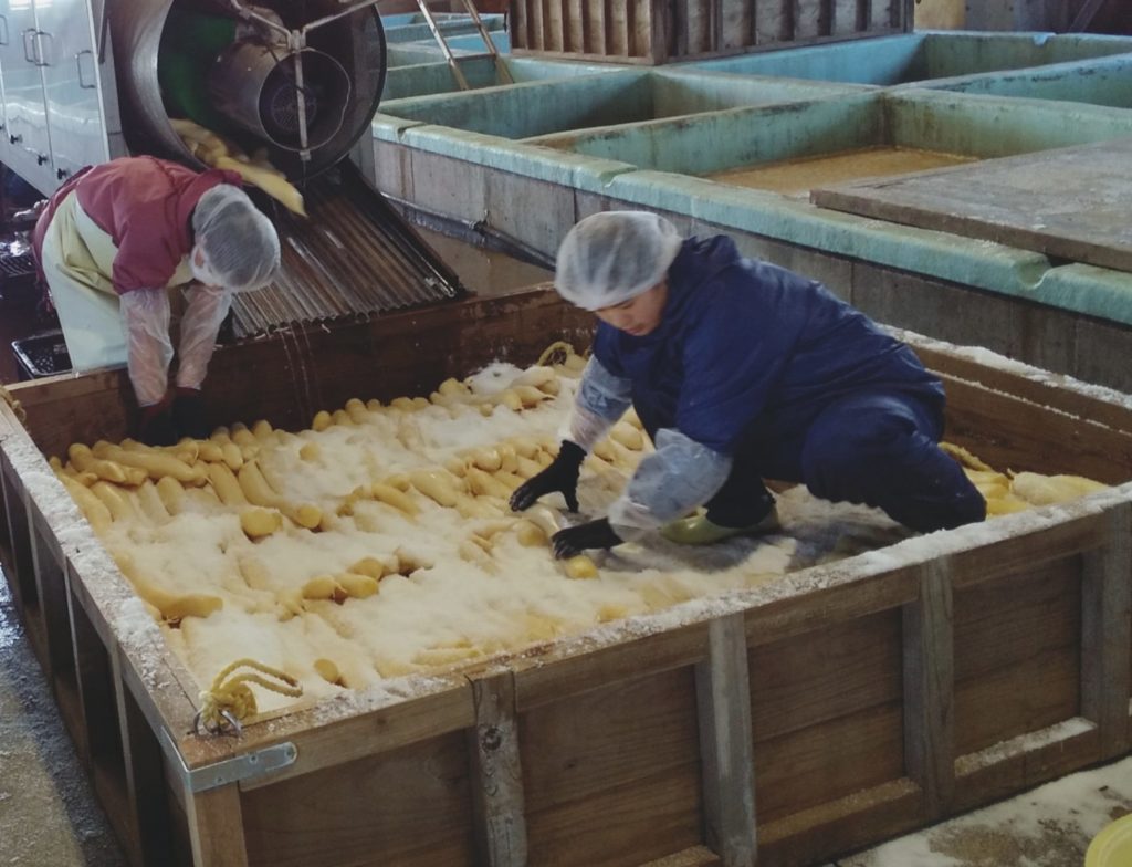 続々入荷の季節です。